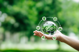 earth environment